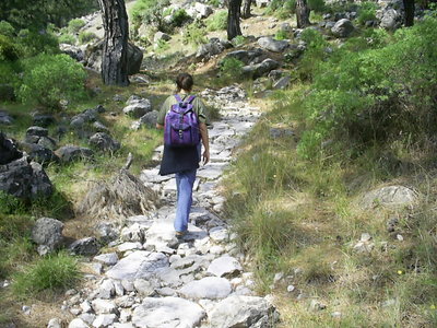 [Photo: Ayse finds a path]