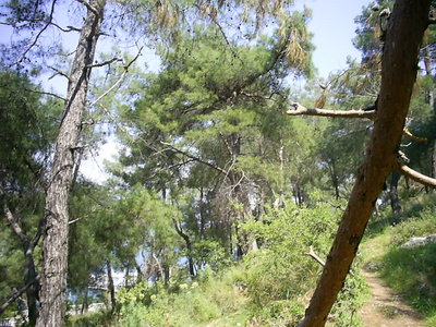 [Photo: trail between the Karagözler]