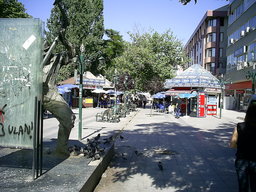 photo of Olgunlar Sokağı, 2008.06.24